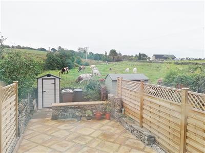 Picture 15